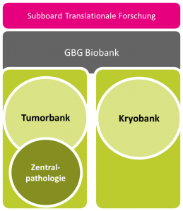 Organisgramm Biobank